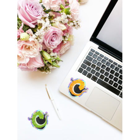 Sticker Holographique