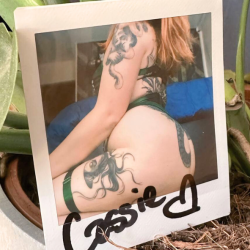 Polaroid dédicacé